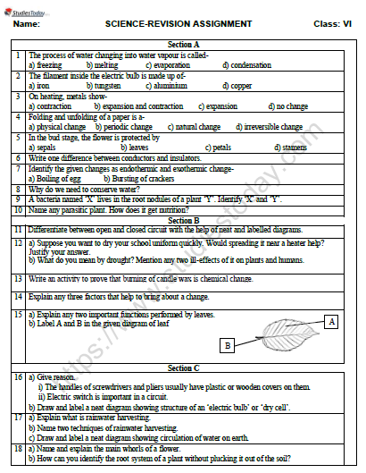 grade-6-science-worksheet